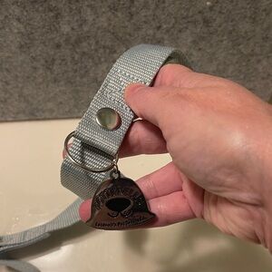 Potty Bell for puppy potty training